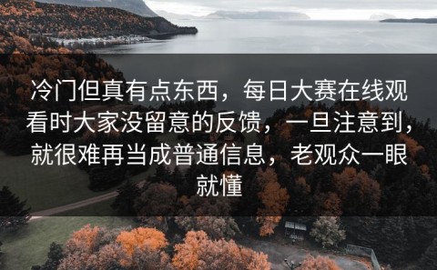 冷门但真有点东西，每日大赛在线观看时大家没留意的反馈，一旦注意到，就很难再当成普通信息，老观众一眼就懂