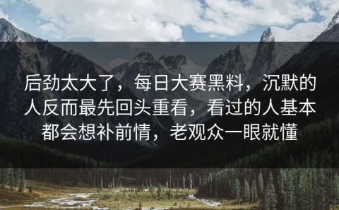 后劲太大了，每日大赛黑料，沉默的人反而最先回头重看，看过的人基本都会想补前情，老观众一眼就懂