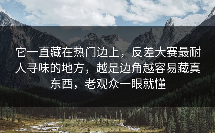 它一直藏在热门边上，反差大赛最耐人寻味的地方，越是边角越容易藏真东西，老观众一眼就懂
